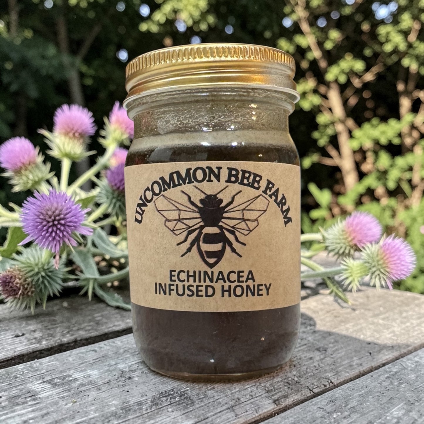 Echinacea Infused Honey