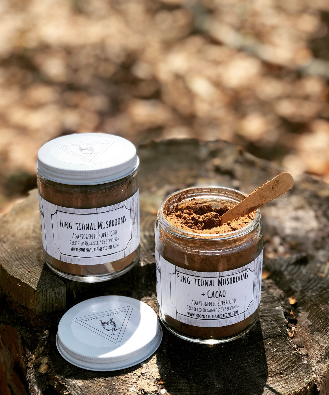 Fung-tional Mushrooms + Cacao
