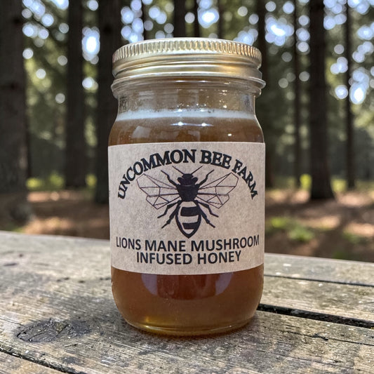 Lion’s Mane Mushroom Infused Honey