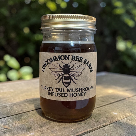 Turkey Tail Mushroom Infused Honey