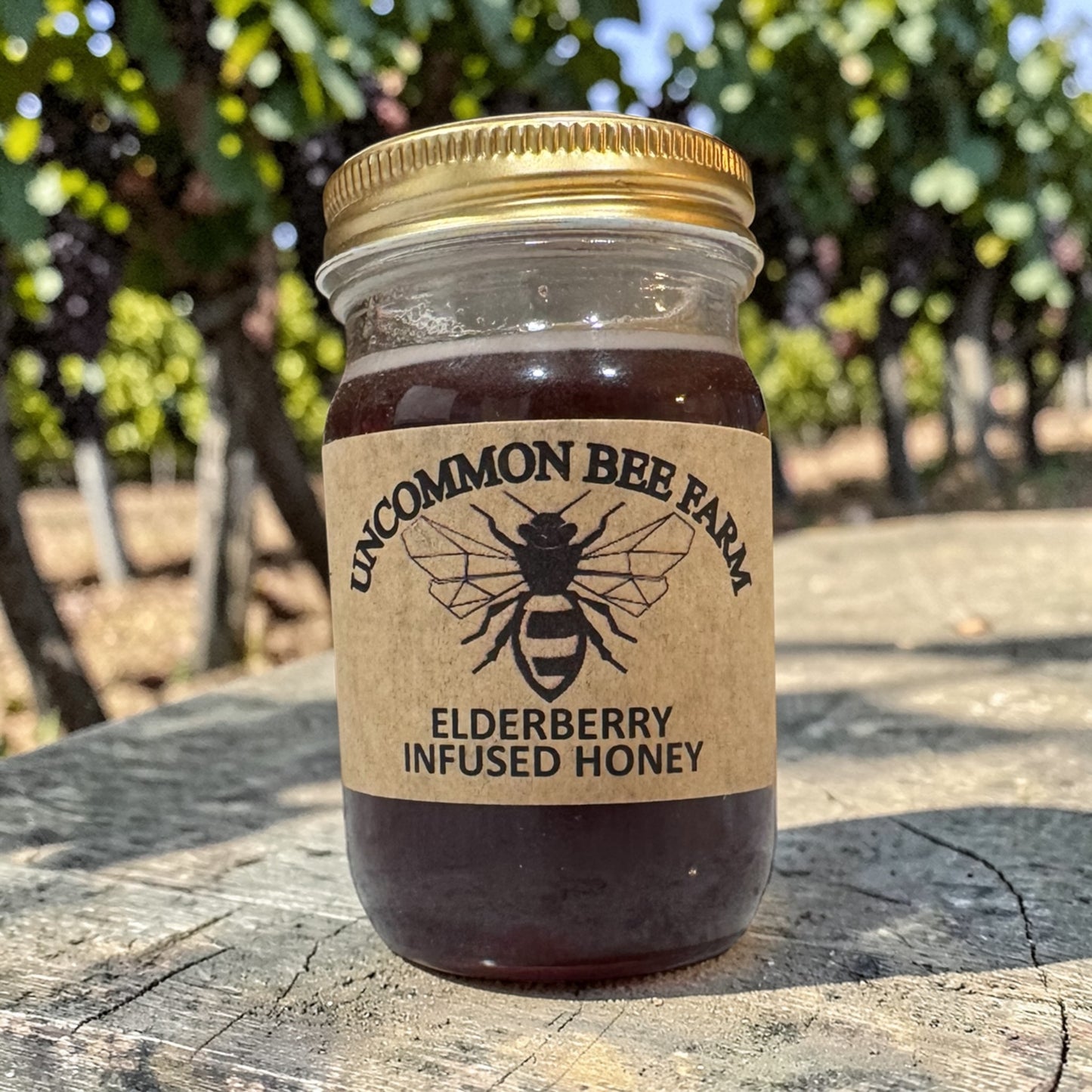 Elderberry Infused Honey