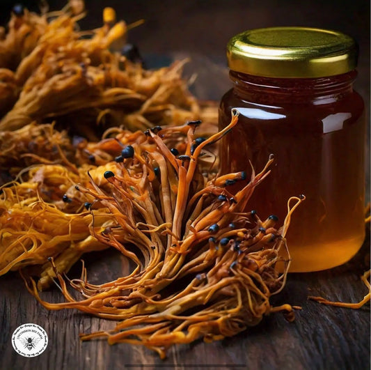 Cordyceps Mushroom Infused Honey