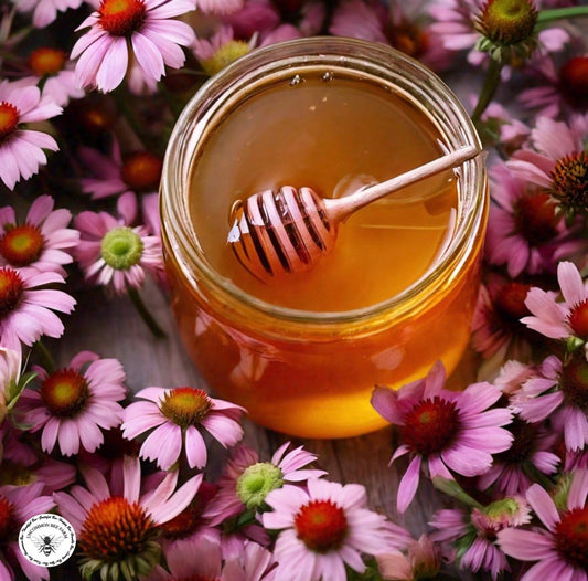 Echinacea Infused Honey
