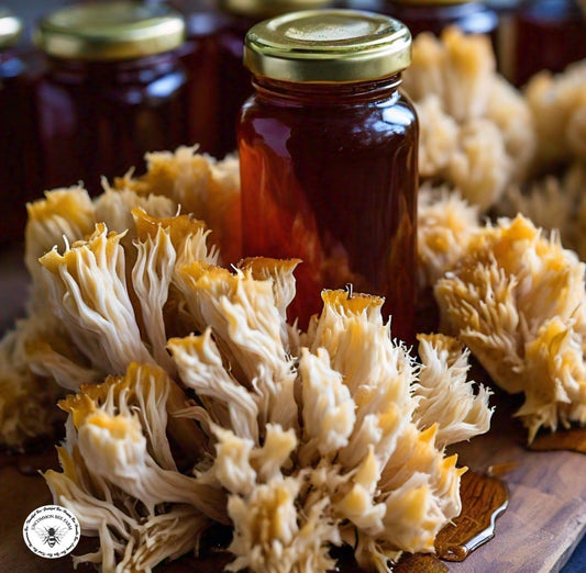 Lion’s Mane Mushroom Infused Honey